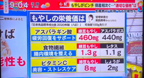 【フジテレビ】めざまし8「もやしがピンチ！」コメント出演のイメージ